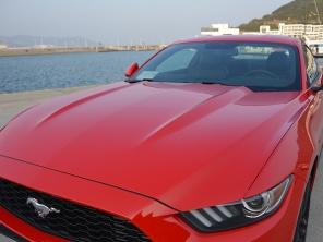 ����(����)2015��Ұ��