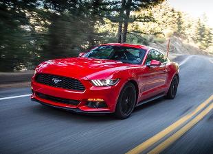 Musle����Pony ����Mustang���й��ܻ���?