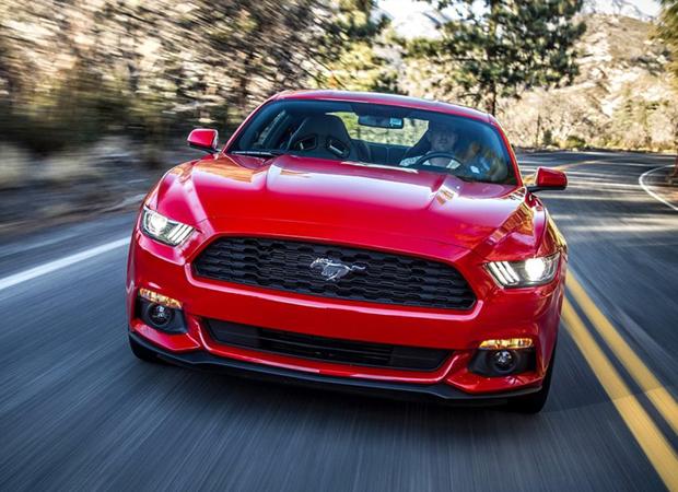 Musle����Pony ����Mustang���й��ܻ���?