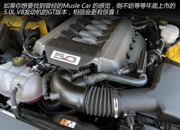 Musle还是Pony 福特Mustang在中国能火吗?