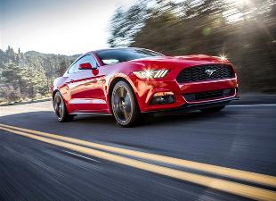 Musle����Pony ����Mustang���й��ܻ���?