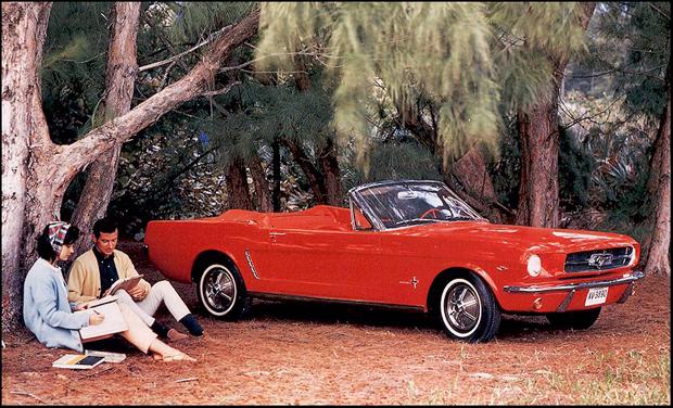 Musle����Pony ����Mustang���й��ܻ���?