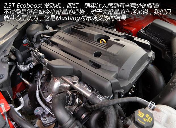 Musle����Pony ����Mustang���й��ܻ���?
