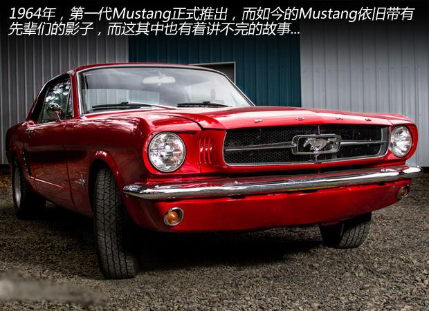 Musle����Pony ����Mustang���й��ܻ���?