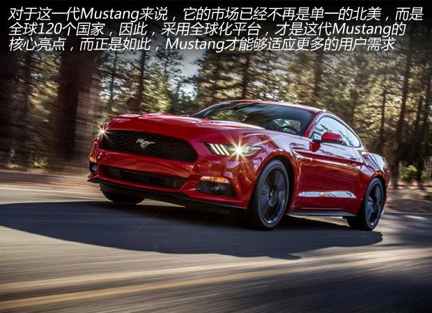 Musle����Pony ����Mustang���й��ܻ���?