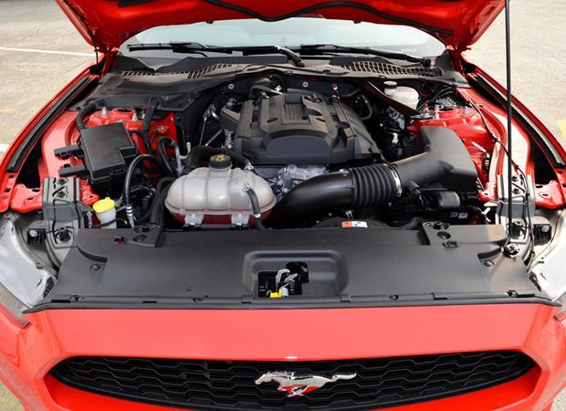 Musle还是Pony 福特Mustang在中国能火吗?