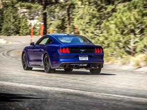 ����(����) Ұ�� 2015�� 5.0L GT ���ܰ�