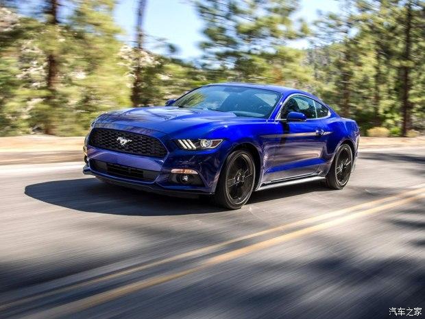 ����(����) Ұ�� 2015�� 5.0L GT ���ܰ�