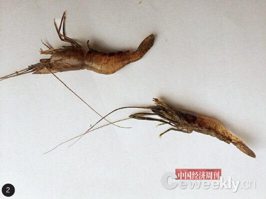 p36-2 1. ������������ʡ��С�ӣ���Ϊ��Ⱦ���أ��������˳�Ϊ�����ӡ���2. ������ϺԽ��Խ�٣���������ڡ�3. ��ˮ����Ⱦ���㶫��ƽ�غ�һ�����ֻ���ù��Ӱ�ɽˮ����ɽ��ʹ�á����й������ܿ������� ������ ��