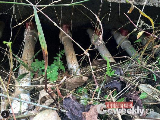 p36-3 1. ������������ʡ��С�ӣ���Ϊ��Ⱦ���أ��������˳�Ϊ�����ӡ���2. ������ϺԽ��Խ�٣���������ڡ�3. ��ˮ����Ⱦ���㶫��ƽ�غ�һ�����ֻ���ù��Ӱ�ɽˮ����ɽ��ʹ�á����й������ܿ������� ������ ��