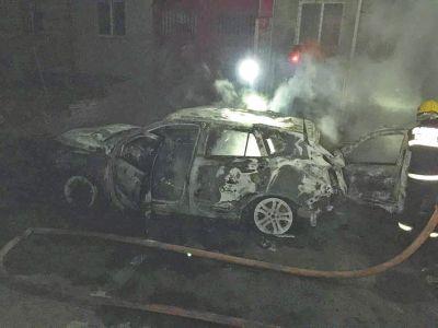 ���߶�������ͼ