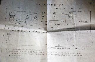 50����������ݸɲ������������