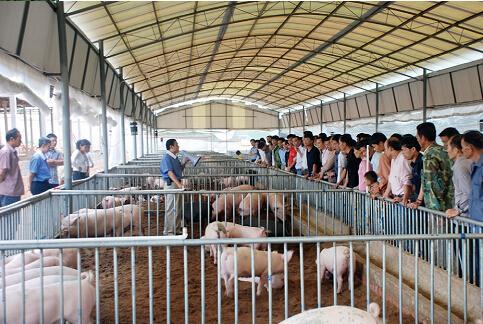 p56-2 ����ũ��ѧԱ�ڽ�ѧ���زι�ʵ����ѧУ�ѽ���ʵѵ��1��27����