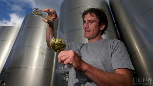 新西兰推出啤酒式葡萄酒