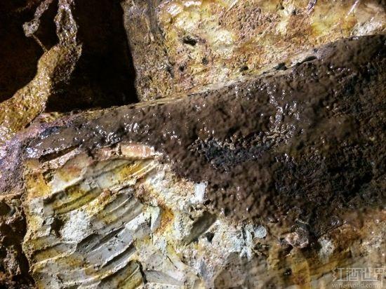 卢瓦尔河谷品丽珠之旅