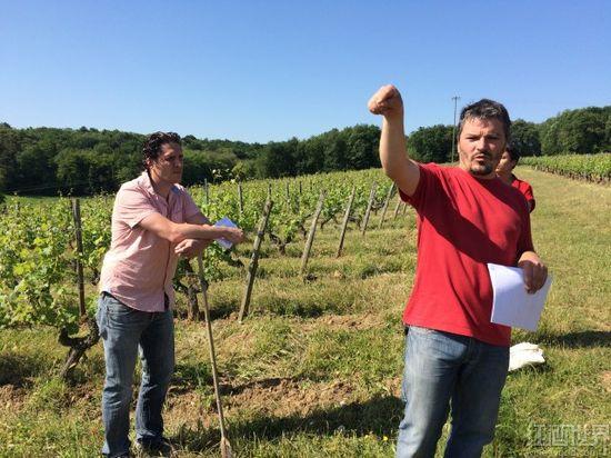 卢瓦尔河谷品丽珠之旅