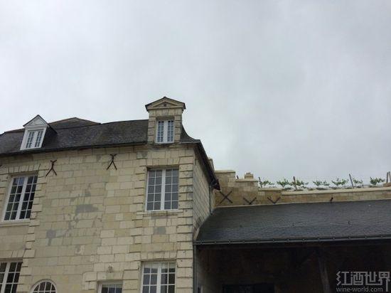 卢瓦尔河谷品丽珠之旅