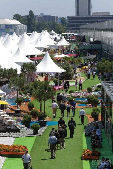 2015������Vinexpo�����鲻������