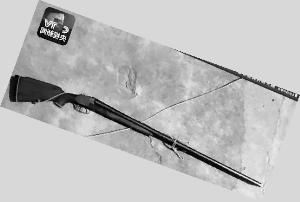 "鹰牌"双筒猎枪