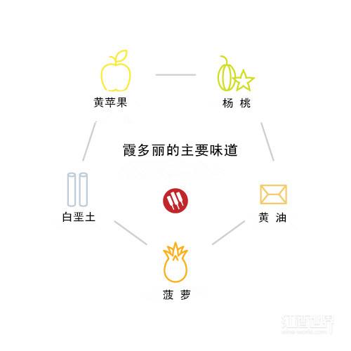 ϼ����VS����˼