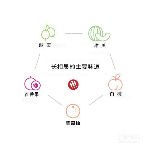 ϼ����VS����˼