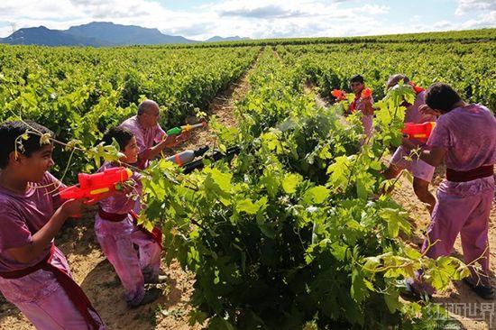 ��¹����Ѿƽڱ������þƽڡ�