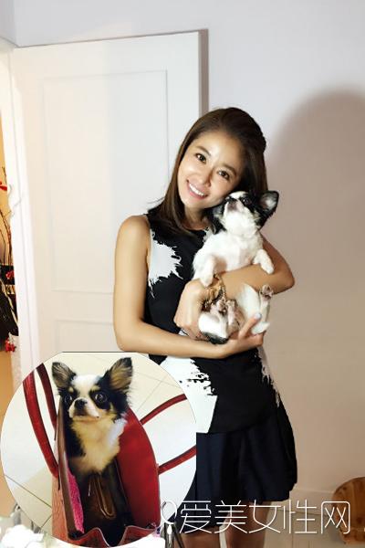 林心如爱马仕拎小狗泰勒lv挡脸