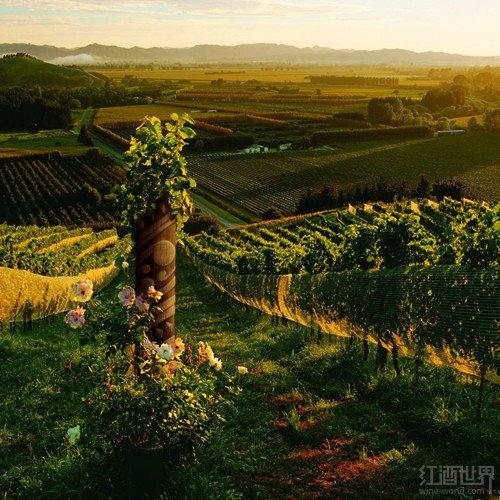 ����ֻ�г���˼�������������ݾ�Ҳ���г���