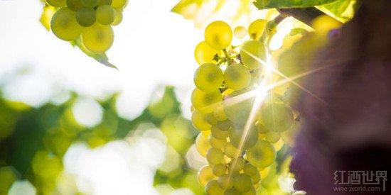 ����ֻ�г���˼�������������ݾ�Ҳ���г���