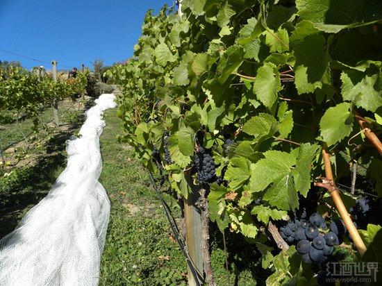 ����ֻ�г���˼�������������ݾ�Ҳ���г���