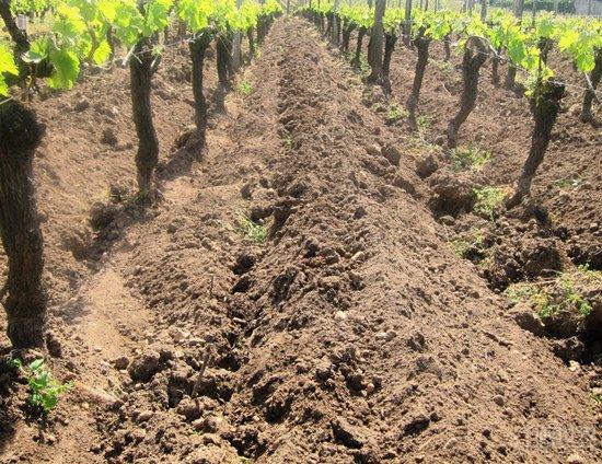 Ʒ��һ���ơ�������Ʒ��������ո��һҳ