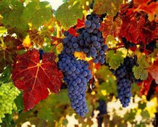 Ʒ��һ���ơ�������Ʒ��������ո��һҳ