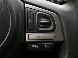 ˹��³2015�����