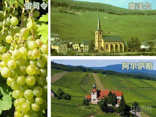 ֪ʶ����������Or�أ�������жϣ�