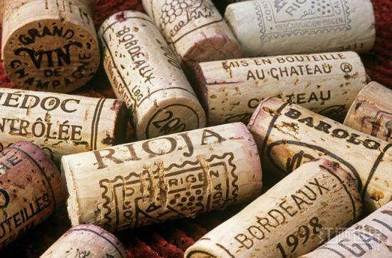 ��ľ���ϵ����Ķ���ʲô��˼��