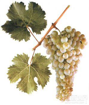 10����Ե͵�������Ʒ��