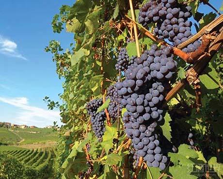 10����Ե͵�������Ʒ��