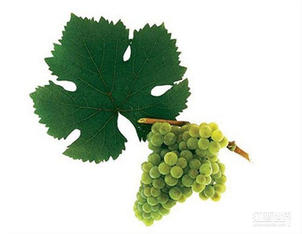 10����Ե͵�������Ʒ��