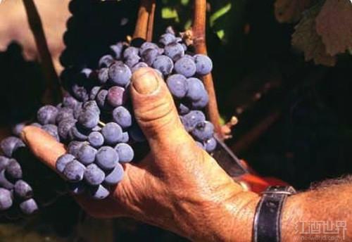 10����Ե͵�������Ʒ��