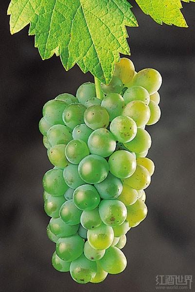 10����Ե͵�������Ʒ��