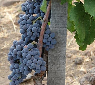 10����Ե͵�������Ʒ��