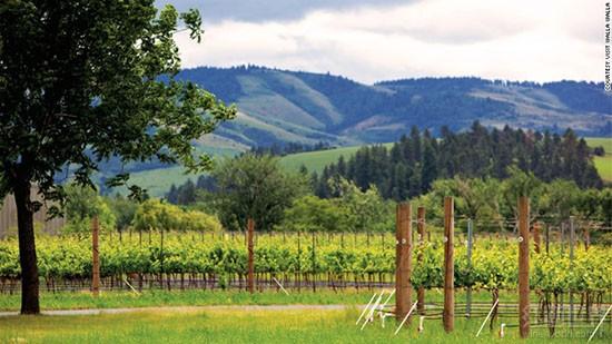 ��10�����ѾƲ������������Super Stars