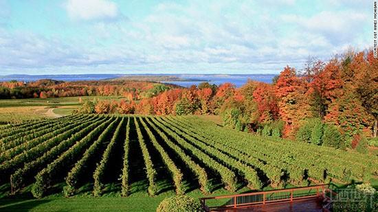 ��10�����ѾƲ������������Super Stars