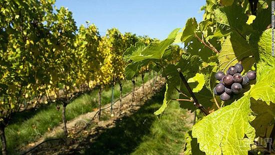 ��10�����ѾƲ������������Super Stars