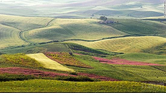 ��10�����ѾƲ������������Super Stars