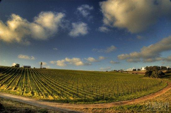 ƿ�е�ʥ�Ͱ���