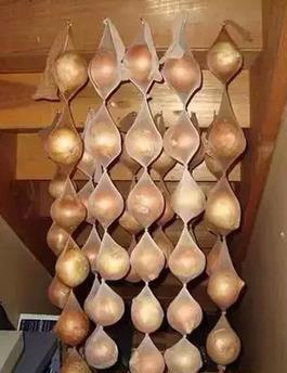 12、各种菌类不要再用塑料袋装着啦,纸袋好过塑料袋不知道多少倍!