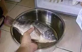 14、鱼干、小银鱼、干虾皮、海米等一类的干制海产品,放入密封袋(或密封瓶)里,将几瓣剥开的大蒜放入,放在阴凉处保存就可以啦。