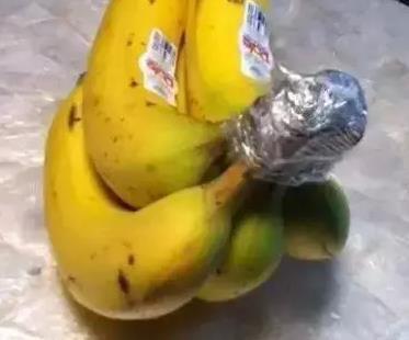 5、茄子保鲜前一定不能用水沖洗,否则茄子表层覆盖的有保护作用的蜡层被沖刷,就容易受微生物侵害而腐烂。也不要放在冰箱,放进保鲜袋放在阴凉通风处就可以了。