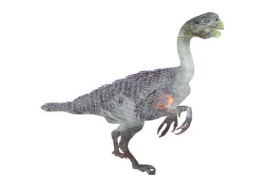 让“河南恐龙”离我们更近些 路易贝贝长这样